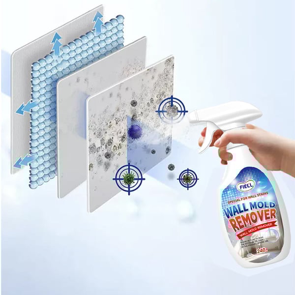 fm2_1d847a19-007a-4924-855b-cc82c3599bba