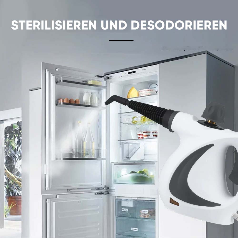 Damprengjøringsenhet for desinfeksjon
