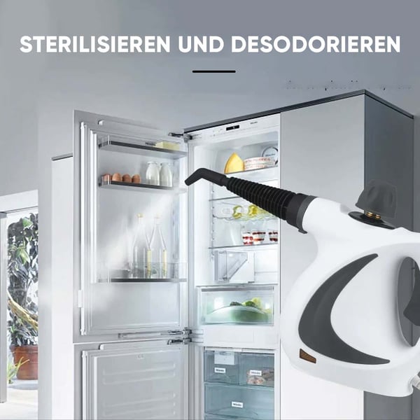 Nettoyeur Vapeur Désinfectant