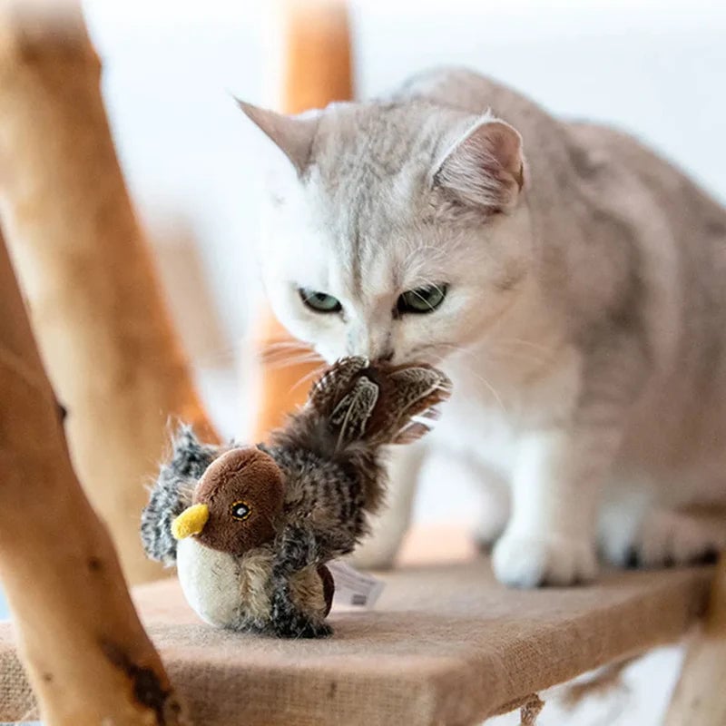 😺Katzenspielzeug - Simulierter zwitschernder Vogel