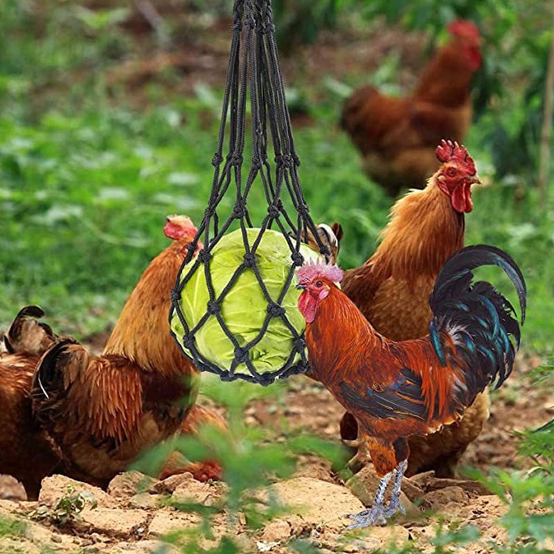 Filets pour l'alimentation des volailles