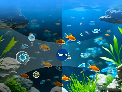 Fish Stress