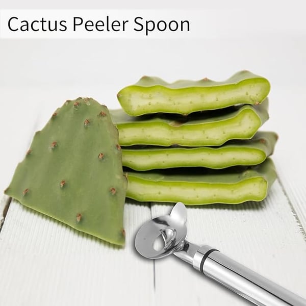 🌵Cactus Peeler Spoon - Essential Tools for Cactus Lovers🔥