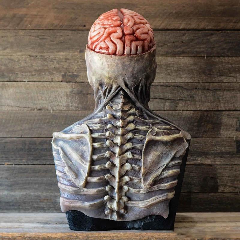 3_efb498dd-f6b0-4799-9121-40d1f825a883