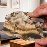 DIY Creative and Interesting Animal Origami