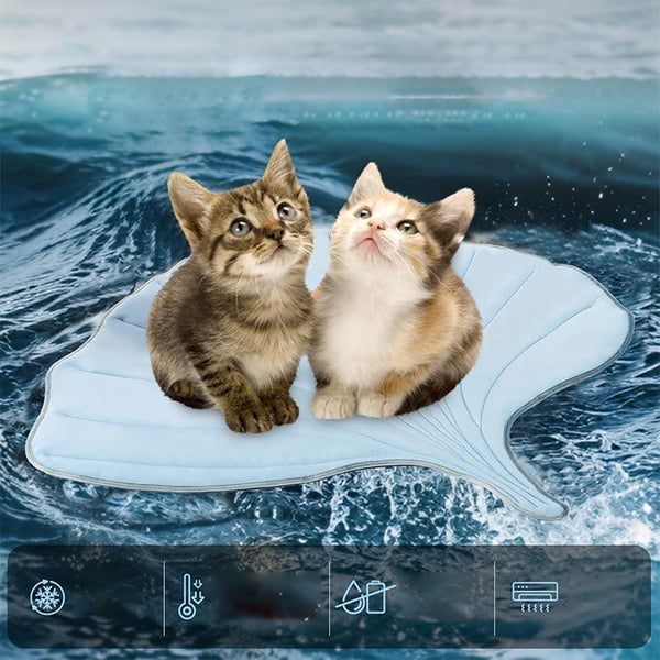 5_d1a1d15d-5ce3-401e-95c6-618846c95884