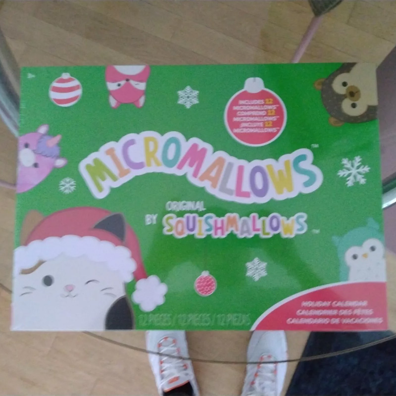 advent calendar book 2024