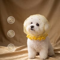 画板 3.jpg