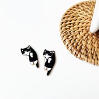 🎄Nåltråder for katter💞