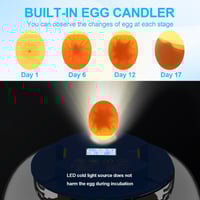18-Egg Incubator