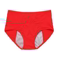 🎉2024 New Upgrade High Waist Leak Proof Panties