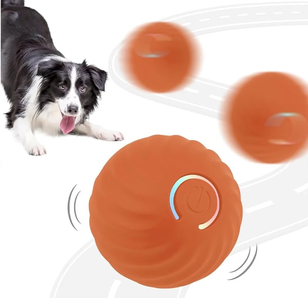 Interaktiver Indoor-Katzenball