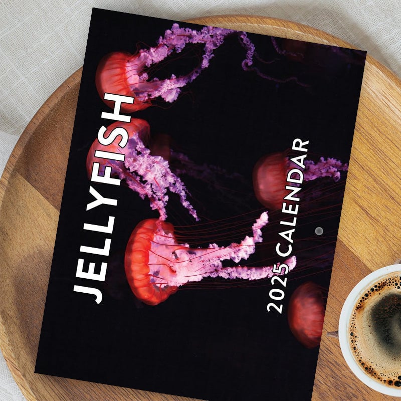 2025 Jellyfish Calendar