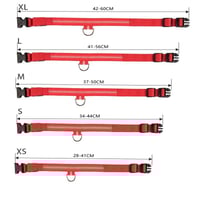 Dog LED Collars