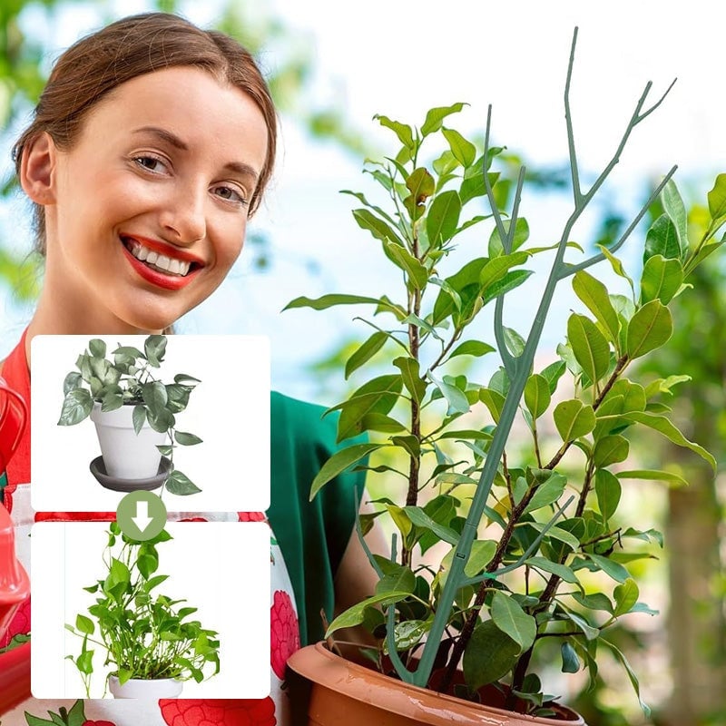 Plant climbing pole