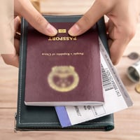 Einfache Reisepasstasche