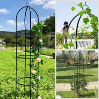 Garden Trellis for Climbing Plants
