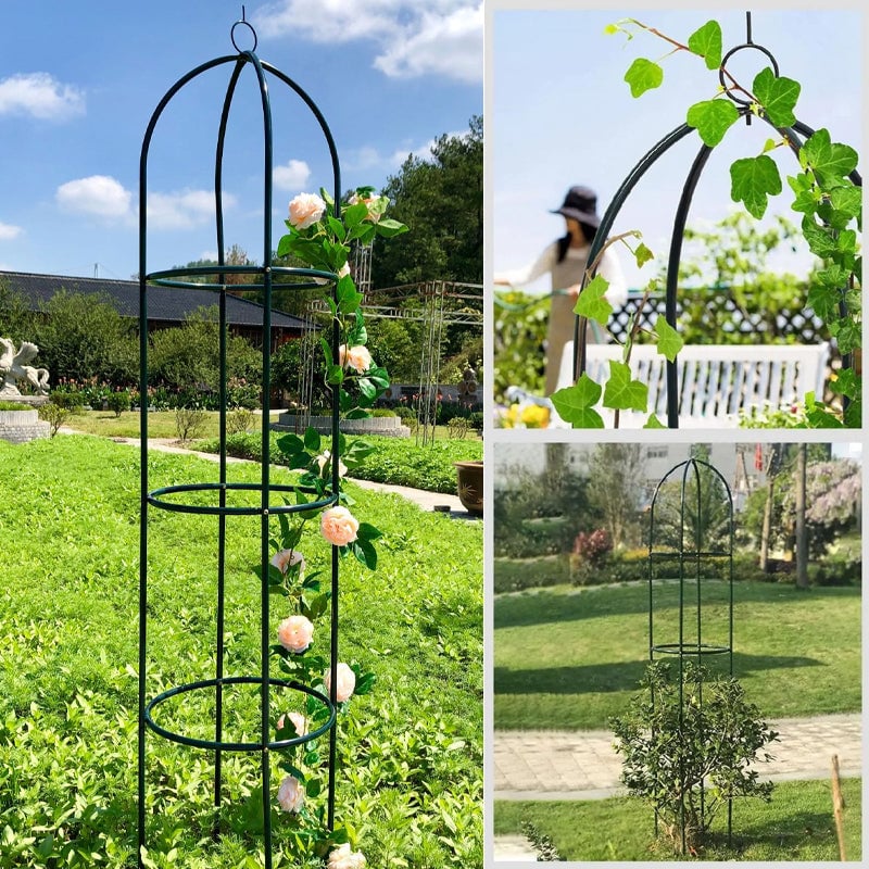 Garden Trellis for Climbing Plants