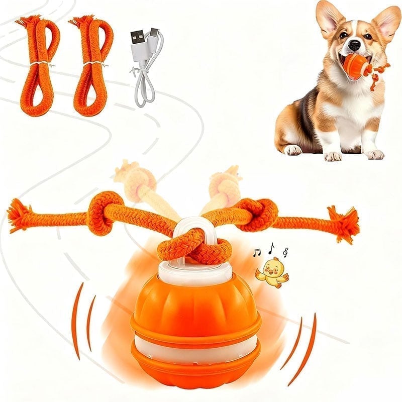 Interactive Smart Rolling Pet Ball