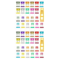 Assorted Automotive Blade Fuse Set