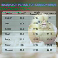 18-Egg Incubator
