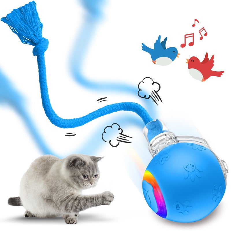 Interactive Rechargeable Ball Cat & Dog Toy