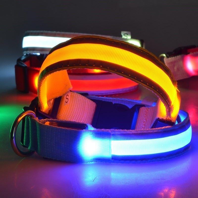 LED-Halsband