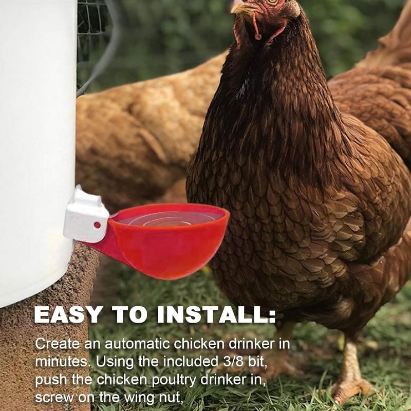 Automatic Chicken Water Cups