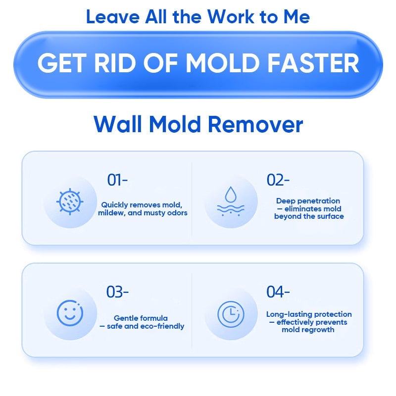 Fast Acting Anti-Mold Wall Cleaner Spray