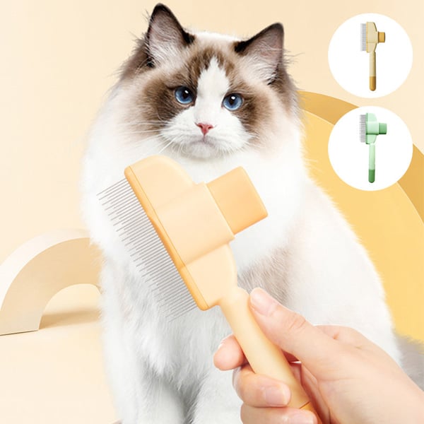 2_6caafaf1-9ed3-46ba-a6da-b4bbbe8bb9d4