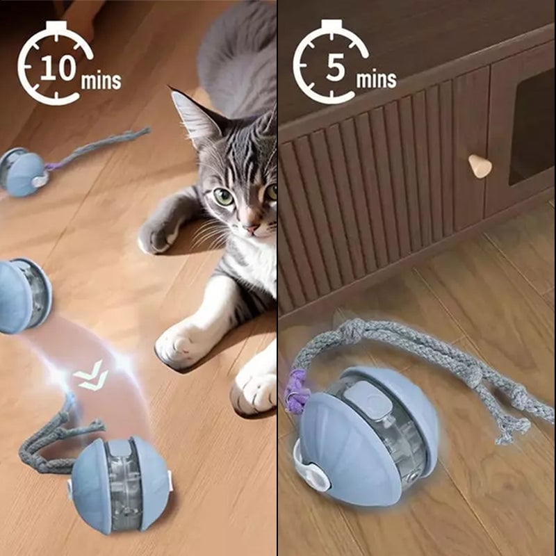 Intelligenter Pet Self-Play Spielball (Upgrade-Version)