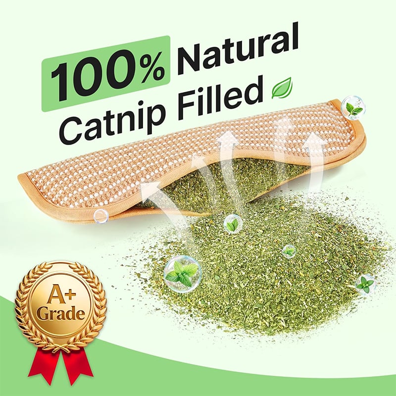 Catnip Pet Pillow
