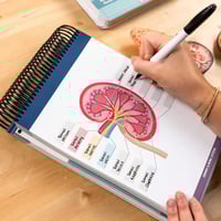 Anatomy Label Workbook