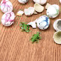 Magisk klekking Dyrking av dinosaur egg