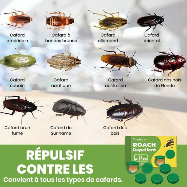 Répulsif contre les cafards