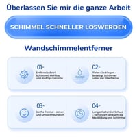 Schnell wirkendes Anti-Schimmel-Wandreinigungsspray