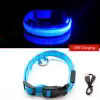 Dog LED Collars