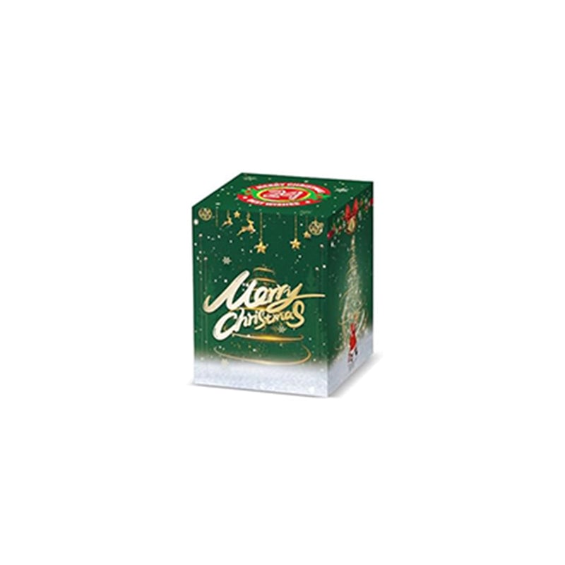 2024 Weihnachtsbaum-Bauspielzeugset