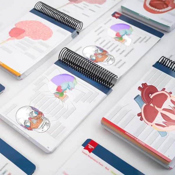 Anatomy Label Workbook