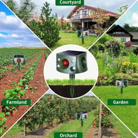 cddd93ce-6494-4fba-fd48-769f48e00100