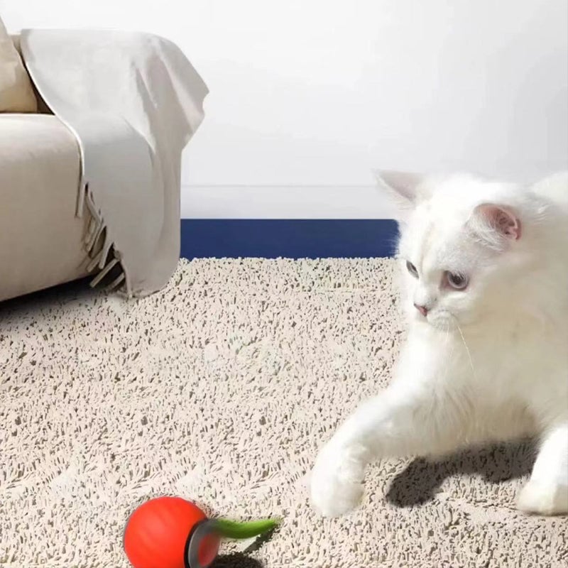 4bc32c75-fc55-4701-2cac-c0edc6c26300