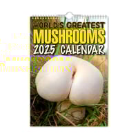 World's Greatest Mushrooms Calendar