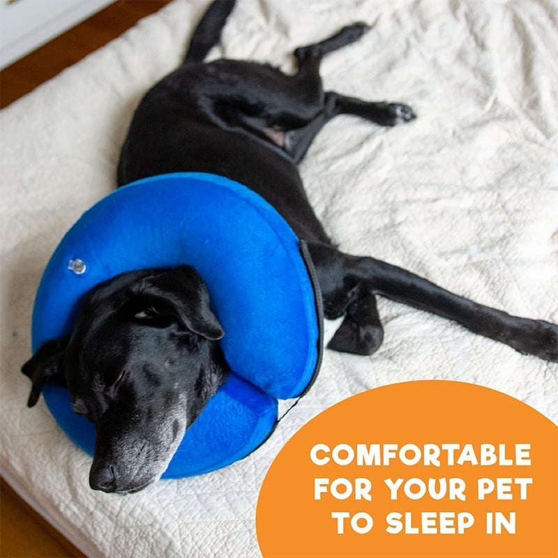 Inflatable Pet Cone Collar