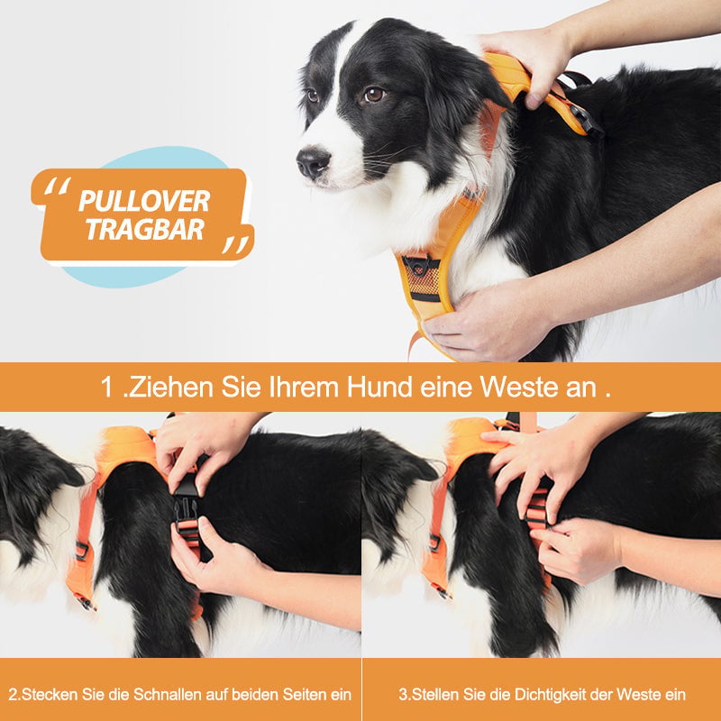 Hundeleine, mehrere Farben