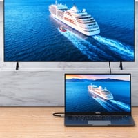 Type-C-zu-DP Hochgeschwindigkeits-Videoadapter-Kabel