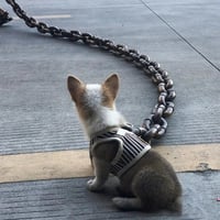 Grappige grote hondenketting