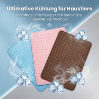 00e29e11-29ed-492f-c9de-0dd845a60600