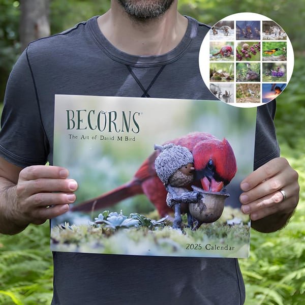 1_b17fdd9a-5b88-4cc0-bb9f-7faa8f317100