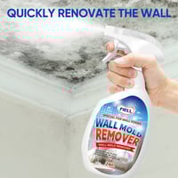 Wall Mold Remover Spray
