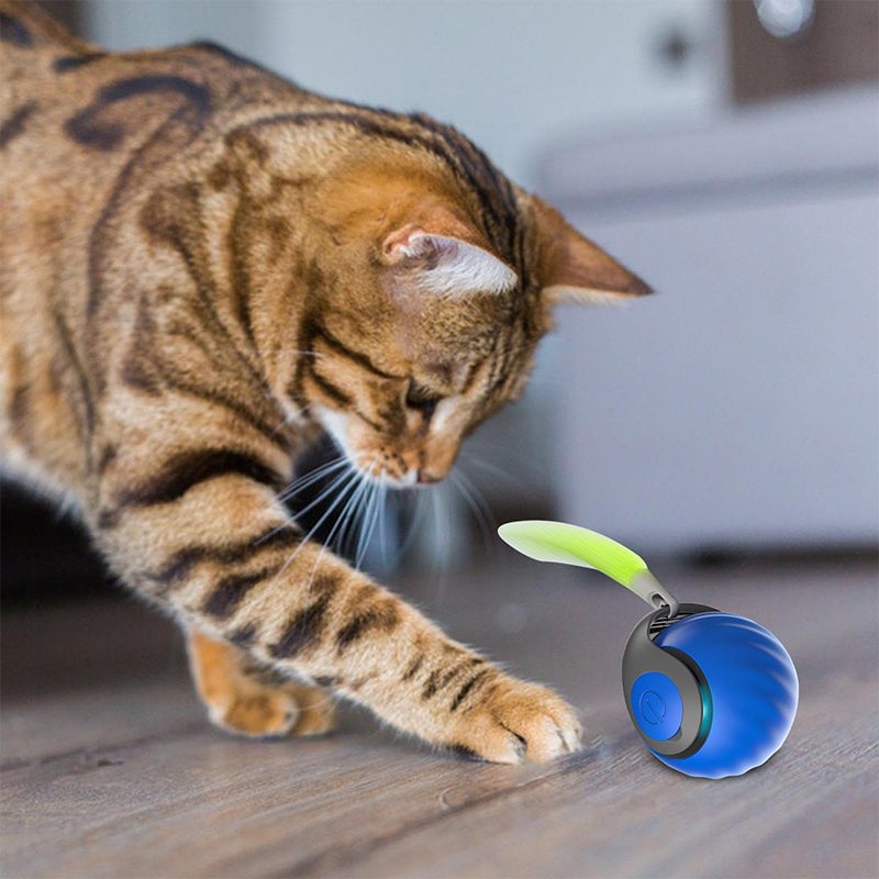 4e0c03c5-cc25-4b75-11c2-f9a3ed372200